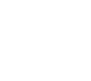 Stripper huren